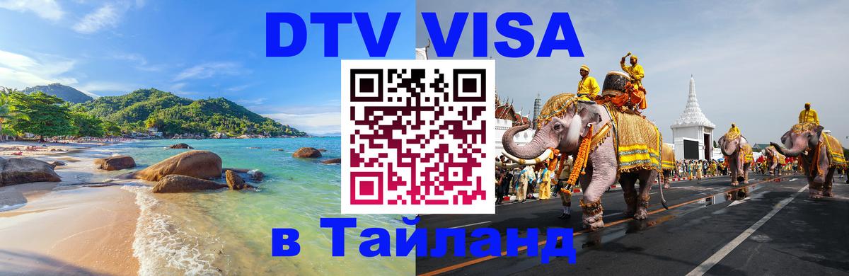 Сколько стоит DTV виза — актуальные цены, оформление даже без документов - Тула 